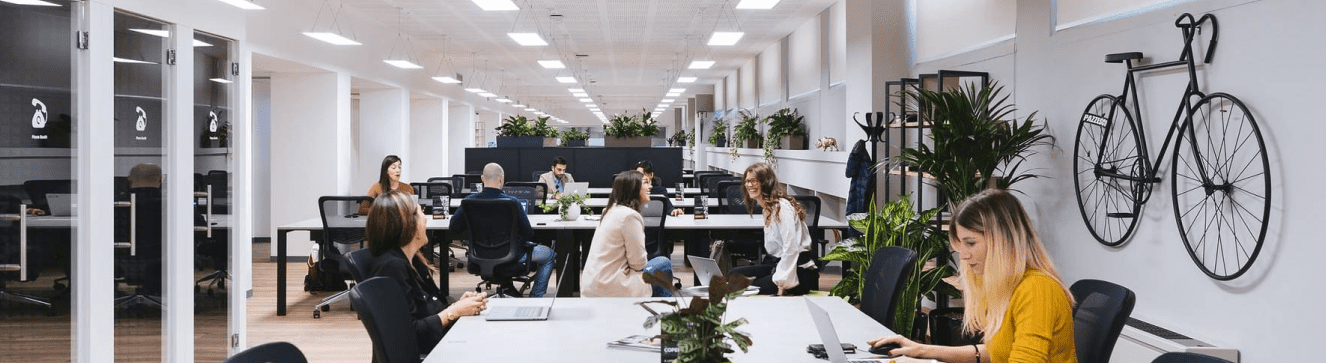 Công Ty TNHH Quản Lý Và Dịch Vụ Hàng Cao Cấp Alt
